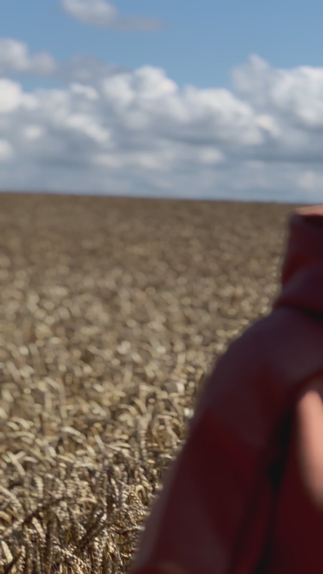 WESTERN Heavy Embroidery Hoodie 400GSM - Desert Clay Color