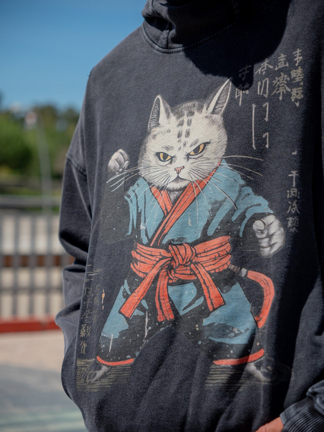 Kanji Karate Cat Washed Turtleneck Hoodie - Unisex Fit